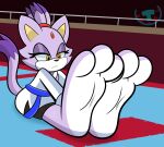  absurd_res anthro blaze_the_cat domestic_cat exercise feet felid feline felis female foot_focus fur hi_res keikogi mammal martial_arts_uniform mintytempest paws purple_body purple_fur sega soles sonic_the_hedgehog_(series) sportswear stretching tail toes yellow_eyes 