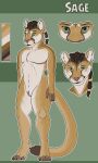  absurd_res ambiguous_gender andromorph anthro cougar felid feline hi_res intersex mammal solo trans_(lore) trans_man_(lore) 