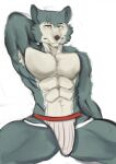  abs anthro armpit_hair beastars body_hair bulge canid canine canis clothed clothing hi_res legoshi_(beastars) male mammal muscular muscular_male pecs raccoonthing solo topless wolf 