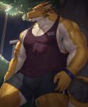  anthro bulge clothed clothing countershade_arms countershade_face countershade_neck countershade_tail countershade_torso countershading dragon hi_res horn male muscular muscular_anthro muscular_male solo tail taki_kaze yellow_body 