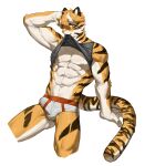  abs absurd_res anthro art_uza biceps bulge clothing countershade_arms countershade_face countershade_fur countershade_neck countershade_tail countershade_torso countershading felid fur hi_res male mammal muscular muscular_anthro muscular_male orange_body orange_fur pantherine simple_background solo striped_body striped_fur stripes tail tiger underwear vein veiny_muscles white_background 
