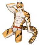  abs absurd_res anthro art_uza biceps bulge clothed clothing countershade_arms countershade_face countershade_fur countershade_neck countershade_tail countershade_torso countershading felid fur hi_res male mammal muscular muscular_anthro muscular_male orange_body orange_fur pantherine simple_background solo striped_body striped_fur stripes tail tiger underwear underwear_only vein veiny_muscles white_background 