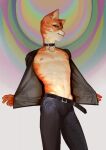  2022 anthro bottomwear clothed clothing collar digital_media_(artwork) domestic_cat ear_piercing felid feline felis fur hi_res male mammal navel nipple_piercing nipples open_clothing open_shirt open_topwear orange_body orange_fur pants piercing shirt solo topwear yanchek yellow_eyes 