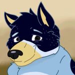  anthro australian_cattle_dog bandit_heeler blue_body blue_fur bluey_(series) canid canine canis cattledog cursed cursed_image domestic_dog elfri eyebrows fur headshot_portrait herding_dog hi_res icon lol_comments looking_at_viewer male mammal meme multicolored_body multicolored_fur pastoral_dog portrait shaded simple_shading smile solo why 