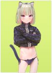  1girl :/ animal_ear_fluff animal_ears animal_print aqua_nails bangs black_panties blonde_hair blunt_bangs blush cat_ears cat_panties cat_print cat_tail colored_inner_hair commentary_request cowboy_shot crossed_arms fake_animal_ears frown green_background groin highres looking_at_viewer makaino_ririmu multicolored_hair nail_polish navel nijisanji no_pants panties pink_hair pointy_ears print_panties red_eyes sabamen short_hair simple_background solo stomach string_panties tail two-tone_hair underwear virtual_youtuber 