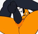  animated anthro areola balls big_penis black_areola blue_body blue_fur blue_nose breasts butt canid canine duo erection female fox fur genitals grin hi_res logan_(kyoriichi) loop low-angle_view male male/female mammal mercy_(susaroo) nonbinary_(lore) orange_body orange_fur penetration penile penile_penetration penis pussy sex smile susaroo thick_thighs thrusting toonkind toony vaginal vaginal_penetration 
