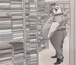  5_fingers anthro archive bear belly belly_overhang big_belly book bookshelf fingers fur furniture hi_res hypnicjerk library looking_back male mammal monochrome moobs nervous nervous_expression obese obese_anthro obese_male overweight overweight_anthro overweight_male polar_bear solo ursine white_body white_fur 