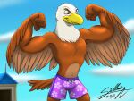  accipitrid accipitriform anthro avian beach bird bottomwear clothing eagle male muscular sagadreams seaside shorts solo swimming swimming_trunks swimwear 