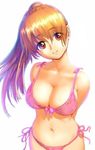  bikini breasts dead_or_alive duplicate ebina_souichi kasumi_(doa) large_breasts ponytail side-tie_bikini solo swimsuit 