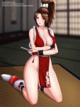  breast_hold breasts brown_eyes brown_hair huge_breasts john_reith king_of_fighters mai_shiranui ninja sad shiranui_mai the_king_of_fighters 