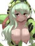  1girl :&gt; alternate_breast_size animal_print bangs bent_over black_eyes blush boomslang_(kemono_friends) breasts closed_mouth collarbone colored_inner_hair green_hair hair_between_eyes hand_up hanging_breasts highres hood hood_up hooded_jacket huge_breasts jacket kemono_friends large_areolae looking_at_viewer multicolored_hair nipples no_bra open_clothes open_jacket pantyhose print_jacket red_hair shibori_kasu simple_background skirt smile snake_print snake_tail solo sweat tail two-tone_hair white_background 