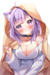  1girl :3 ahoge animal_collar animal_ear_fluff animal_ears bangs black_collar blanket blush breasts cat_ears cleavage collar collared_shirt diagonal_bangs dress_shirt gau_(n00_shi) head_tilt hololive large_breasts looking_at_viewer medium_hair nekomata_okayu official_alternate_costume official_alternate_hair_length official_alternate_hairstyle partially_unbuttoned purple_eyes purple_hair shirt single_bare_shoulder solo virtual_youtuber white_shirt 