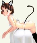  animal_ears bad_id bad_pixiv_id bent_over bikini brown_eyes brown_hair cat_ears cowboy_shot masao mimi_wo_sumaseba solo swimsuit tail thighhighs tsukishima_shizuku 