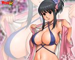  action_pizazz bikini black_hair breasts cleavage flower hair_flower hair_ornament japanese_clothes kimono large_breasts saigadou smile solo swimsuit undressing wallpaper zoom_layer 