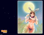  action_pizazz animal_ears bikini bow bowtie breasts brown_hair bunny_ears bunny_girl cameltoe large_breasts moon pon_takahanada short_hair solo swimsuit wallpaper 