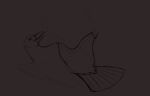  ambiguous_gender avian beak bird brown_background brown_body corvid corvus_(genus) crow feral fur oscine passerine simple_background sketch solo teriyaki_chicken unfinished 