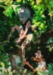  2boys bare_arms bare_shoulders barefoot black_hair blue_eyes brown_eyes closed_mouth commentary_request dappled_sunlight day feet gon_freecss highres hunter_x_hunter in_tree killua_zoldyck leaf looking_at_another male_focus multiple_boys nature open_mouth outdoors shenshan_laolin short_hair shorts sitting sitting_in_tree sleeveless smile sunlight tank_top toes tree white_hair white_tank_top 