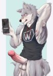  accessory anthro armpit_hair balls band-aid bandage blush body_hair bottomless bottomless_anthro bottomless_male canid canine canis cellphone clothed clothing cock_ring countershade_face countershade_fur countershade_torso countershading erection fur genitals glans grey_body grey_fur hi_res hiei0221 holding_cellphone holding_object holding_phone holding_smartphone humanoid_genitalia humanoid_penis inner_ear_fluff jewelry male mammal penis penis_accessory penis_jewelry phone smartphone solo tail tongue tongue_out tuft vein veiny_penis wolf 