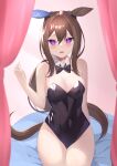  1girl absurdres admire_vega_(umamusume) alternate_costume animal_ears astroglia_cyte bare_shoulders black_bow black_bowtie black_leotard blush bow bowtie breasts brown_hair cleavage curtains detached_collar ear_covers hair_between_eyes highres horse_ears horse_girl leotard looking_at_viewer medium_breasts open_mouth playboy_bunny single_ear_cover sitting sleeveless solo strapless strapless_leotard umamusume 