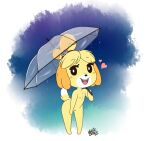  2023 animal_crossing bent_over blush canid canine canis covered_pussy domestic_dog female flat_chested hi_res isabelle_(animal_crossing) looking_at_viewer mammal nekostar nintendo nipples smile solo standing unbrella 