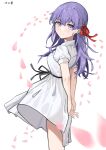  1girl absurdres arms_behind_back black_ribbon cherry_blossoms closed_mouth cowboy_shot dress falling_petals fate/stay_night fate_(series) hair_ribbon heaven&#039;s_feel highres long_hair looking_at_viewer matou_sakura official_alternate_costume petals puffy_short_sleeves puffy_sleeves purple_eyes purple_hair red_ribbon ribbon short_sleeves simple_background smile solo user_hwnu4245 white_background white_dress 