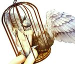  bad_id bad_pixiv_id cage devilman feather_hair head_wings siren_(devilman) solo wings yuanmaru 