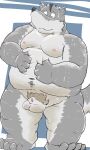  2023 anthro balls belly big_belly bodily_fluids canid canine canis dain_4201 do domestic_dog genitals hi_res kemono male mammal moobs navel nipples overweight overweight_male pubes solo sweat 