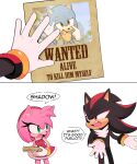  2022 amy_rose anthro clothing dialogue duo english_text eulipotyphlan eye_contact female gloves green_eyes handwear hedgehog hi_res looking_at_another male mammal open_mouth paper red_eyes sega shadow_the_hedgehog simple_background sonic_the_hedgehog sonic_the_hedgehog_(series) speech_bubble teeth text toonsite wanted_poster 