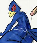  after_sex anthro avian bird bodily_fluids butt cum cum_drip cum_in_ass cum_inside dripping duo falco_lombardi genital_fluids genitals half-erect hi_res illegaleel looking_at_viewer male male/male nintendo penis star_fox 