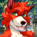  anthro black_nose blep blurred_background bust_portrait canid cheek_tuft corzh77 facial_tuft front_view fur glistening glistening_eyes green_eyes head_tuft hi_res looking_at_viewer male mammal mouth_closed outside pink_tongue plant portrait red_body red_fur shoulder_tuft solo tongue tongue_out tree tuft white_body white_fur 