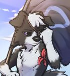  2022 anthro black_body black_fur border_collie canid canine canis cloud collie day ddgio detailed_background digital_media_(artwork) domestic_dog flag floppy_ears fur herding_dog hi_res holding_object male mammal outside pastoral_dog sheepdog sky solo white_body white_fur 