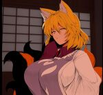  1girl animal_ears blue_tabard breasts fox_ears fox_girl fox_tail highres large_breasts light looking_at_viewer mizuga multiple_tails shadow solo tabard tail touhou trigram yakumo_ran 