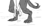  anthro bodily_fluids canid canine canis claws digitigrade duo eclair_(spicymancer) female held_up human human_on_anthro interspecies larger_male male male/female mammal muscular muscular_anthro muscular_male offscreen_sex shaking size_difference smaller_female spicymancer toe_claws trembling were werecanid werecanine werewolf wolf 