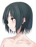  1girl barbell_piercing black_hair blush closed_mouth collarbone commentary_request ear_piercing earclip hair_between_eyes highres industrial_piercing looking_away looking_to_the_side love_live! love_live!_nijigasaki_high_school_idol_club mifune_shioriko nasuno_(nasuno42) nude piercing portrait profile red_eyes short_hair simple_background solo white_background 