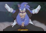  anal anthro balls bodily_fluids clothing cum cum_in_ass cum_inside duo footwear full_nelson genital_fluids genitals hi_res male male/male penis sega shadow_the_hedgehog socks sonic_the_hedgehog sonic_the_hedgehog_(series) sweat uglyskeleton 