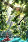  1girl absurdres bird commentary from_behind grey_hair hair_ribbon highres kagiyama_hina light_rays oubachiago outdoors procreate_(medium) red_ribbon red_skirt ribbon scenery short_sleeves skirt swan touhou tree wading 