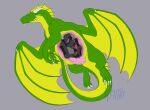  abdominal_bulge anthro avian belly claws digitigrade dragon ears_down erection eyes_closed feral frill_(anatomy) genitals green_body hi_res horn internal membrane_(anatomy) membranous_wings multi_eye oral_vore penis pivoted_ears pred prey size_difference vore wings wriithe 