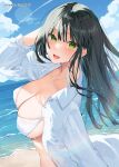 1girl bekotarou bikini black_hair blush breasts green_eyes hand_in_own_hair highres large_breasts long_hair looking_at_viewer ocean open_clothes open_mouth open_shirt original outdoors shirt smile solo swimsuit upper_body white_bikini white_shirt 