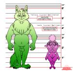  absurd_res anatomically_correct animal_genitalia bellhunterverse bovid breasts canid canine canis caprine dawn_bellwether disney english_text fan_character genitals hi_res mammal model_sheet penis pussy sheath sheep text url wastedtimeee wolf zootopia 