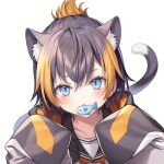  1girl animal_ears bata000e black_hair black_hoodie blue_eyes blush cat_ears cat_tail fish_in_mouth highres hood hoodie looking_at_viewer multicolored_hair nijisanji nijisanji_en orange_hair petra_gurin school_uniform serafuku simple_background solo streaked_hair tail virtual_youtuber white_background white_hoodie 