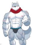  abs absurd_res anthro blue_eyes blush briefs bulge canid canine canis clothing crave_saga fur grey_body grey_fur hakuma_(crave_saga) hi_res male mammal muscular muscular_anthro muscular_male nipples offering_hand pecs shinobiya solo underwear wolf 