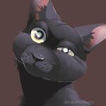  black_body black_nose brown_background bust_portrait domestic_cat felid feline felis feral fur glistening glistening_eyes head_tilt hi_res iceymcflurry lineless mammal pink_inner_ear portrait shaded simple_background smooth_shading solo watermark whiskers yellow_eyes 