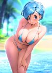  1girl beach bikini blue_bikini blue_eyes blue_hair blurry blurry_background breasts bulma cleavage closed_mouth collarbone curvy day dragon_ball dragon_ball_super ear_piercing hand_on_own_knee highleg highleg_bikini highres large_breasts leaning_forward leaning_to_the_side lens_flare looking_at_viewer mature_female micro_bikini outdoors oyaman palm_tree piercing short_hair sky smile solo swimsuit thigh_gap thighs tree water wide_hips 