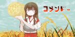  1girl akagi_(kancolle) black_hair blue_sky cloud cloudy_sky day fujinozu grass hay_bale japanese_clothes kantai_collection long_hair muneate outdoors purple_eyes sky solo tasuki upper_body 