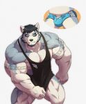  2019 anthro arm_tattoo biceps black_clothing black_hair black_shirt black_tank_top black_topwear blue_body blue_clothing blue_eyes blue_fur blue_speedo blue_swimwear canid canine canis clothing covering covering_crotch disgruntled domestic_dog fur hair hi_res husky image_bubble kusunagi male mammal muscular muscular_anthro muscular_male muscular_thighs nordic_sled_dog pecs shirt solo speech_bubble speedo spitz swimwear tank_top tattoo topwear triceps vein vorke_(deadanthro) white_body white_fur ych_(character) 