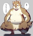  absurd_res anthro balls belly canid canine canis crouching domestic_dog flaccid fupa fur genitals grey_body grey_fur hi_res japanese_text lifewonders male mammal moobs moritaka navel nipples nude overweight penis pluto08010511 pu94_d1de4c scar solo text tokyo_afterschool_summoners 