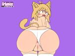  anal anthro clothing felid feline female genitals hi_res humanoid looking_at_viewer mammal neco-arc panties pussy solo tsukihime type-moon underwear urbanica 