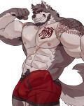  2023 abdominal_scar abs absurd_res anthro arm_tattoo armpit_hair augar_(augarrwoof) beard biceps black_beard body_hair bottomwear bulge canid canine canis chest_scar chest_tattoo clothing ear_piercing ear_ring eyebrow_scar facial_hair facial_scar fur genital_outline grey_body grey_fur grey_hair hair happy_trail hi_res imato male mammal multicolored_body multicolored_fur muscular muscular_anthro muscular_male nipples nose_scar obliques pecs penis_outline piercing pubes red_bottomwear red_clothing red_shorts ring_piercing scar sharp_teeth shorts shoulder_scar shoulder_tattoo solo tattoo teeth white_body white_fur wolf 