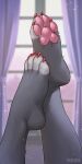  4_toes anthro colored_nails colored_toenails domestic_cat duska feet felid feline felis female foot_fetish foot_focus fur grey_body grey_fur hi_res iskra mammal nails pawpads paws pink_pawpads plantigrade red_toenails simple_background solo toeless_(marking) toenails toes 