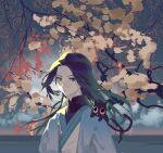  1boy absurdres animal_on_shoulder black_cat black_hair blue_eyes branch cat cat_on_shoulder cloud highres horizon long_hair looking_at_viewer luoxiaohei male_focus outdoors the_legend_of_luo_xiaohei tree upper_body wuxian_(the_legend_of_luoxiaohei) yuki-kajiura 